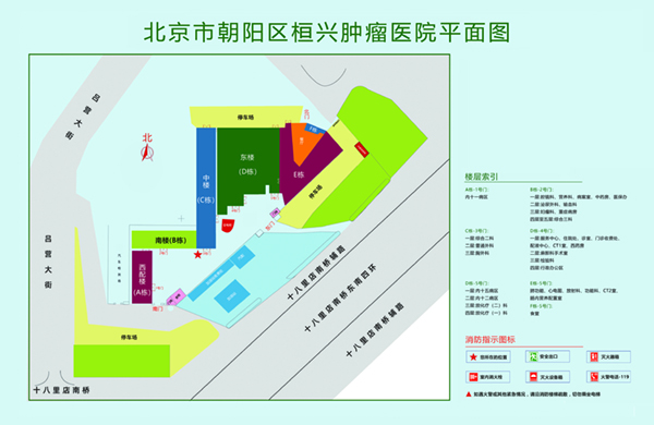 艹大逼视频北京市朝阳区桓兴肿瘤医院平面图